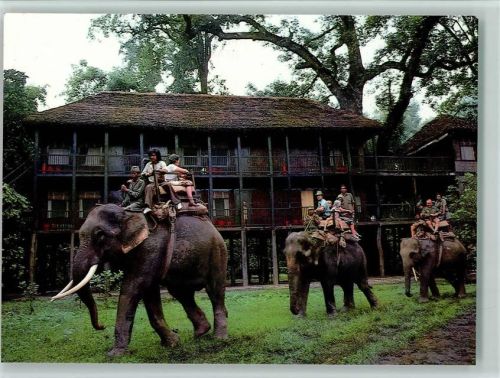Elefanten Trekking Tour Chitwan National Park