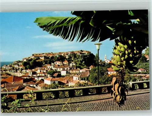 Camara de Lobos Fischerort