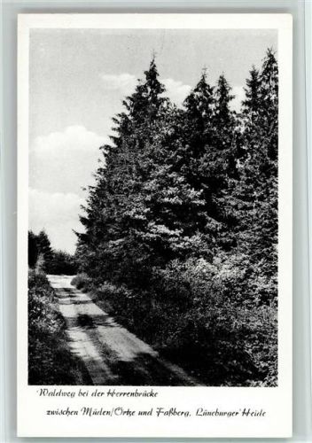 Müden Waldweg bei der Herrenbrücke
