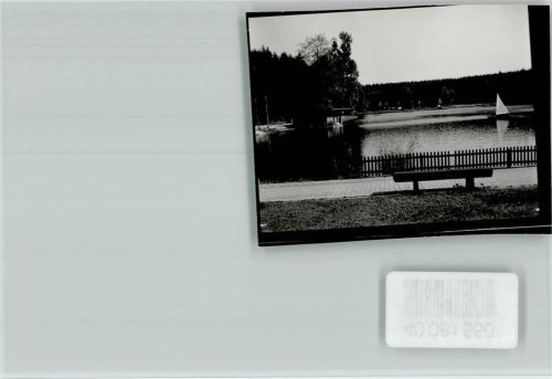 Wellingholzhausen Kronensee