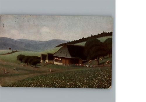 Schwazwaldhaus