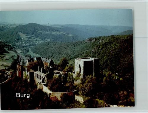 Nideggen Burg