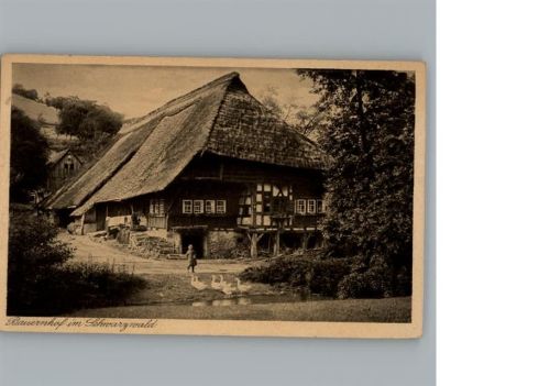Schwarzwaldhaus