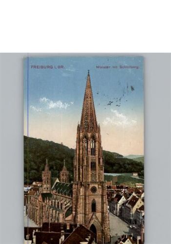 Freiburg Münster