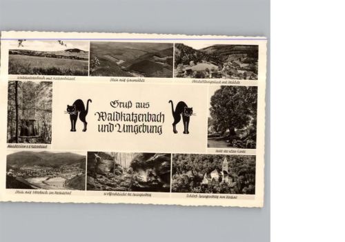 Waldkatzenbach