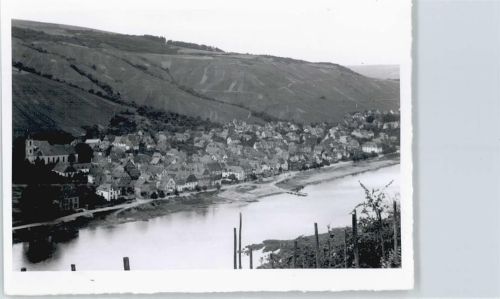 Zell Foto