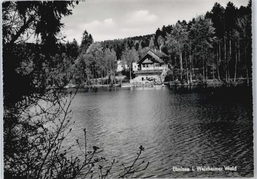 Ebnisee