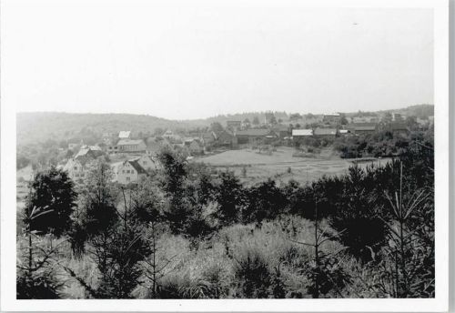 Hasselborn