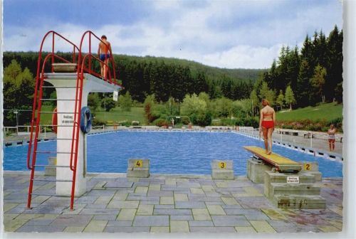 Heidenheim Schwimmbad Sprungbrett Baum