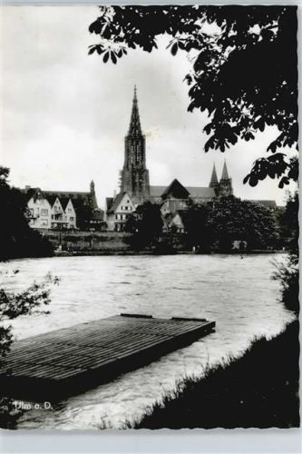 Ulm Floss am Ufer