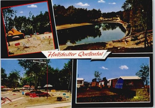 Hallstedt See Camping Baum
