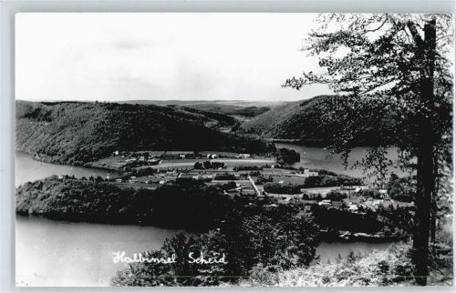 Scheid