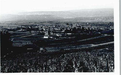 Ockenheim Foto-Karte