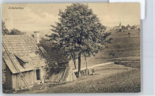 Schellerhau Baum Haus Feld Kirche