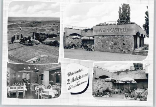 Dittelsheim-Heßloch Weinkastell