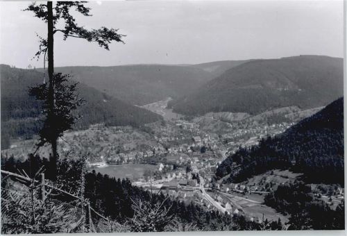 Calmbach Foto
