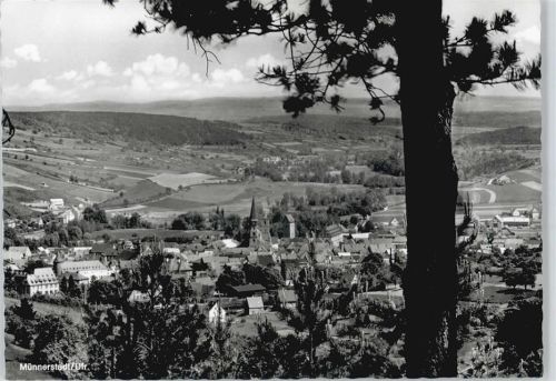Münnerstadt Baum Feld Haus Gesamtansicht