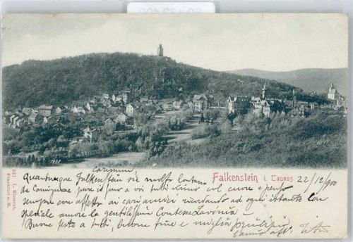 Falkenstein Berg Wald Haus