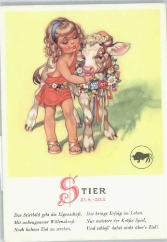 Stier
