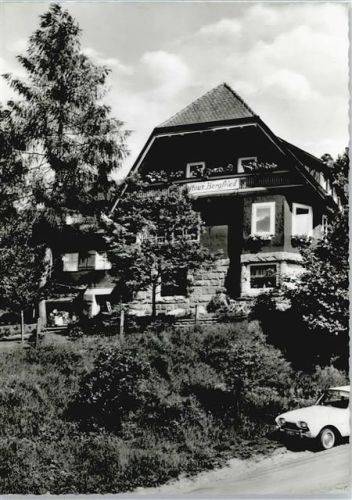 Baiersbronn Pension Haus Bergfried
