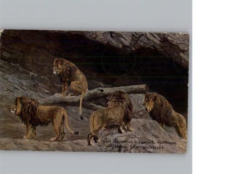 Stellingen Tierpark