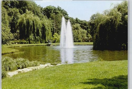 Kelkheim Wiese Springbrunnen Teich Baum