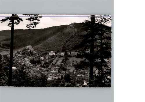 Bad Wildbad