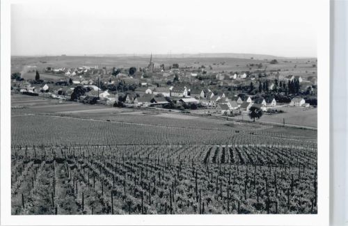 Windesheim Foto-Karte