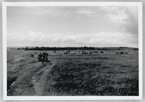 Wehrmacht , Foto , Klebereste siehe Rückseite