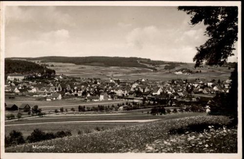 Münsingen