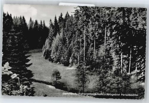 Stammbach Perlenbachtal