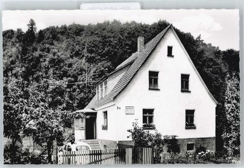 Frebershausen Pension Haus Brigitte Zaun Baum