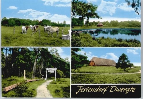 Dwergte Feriendorf See Pferd