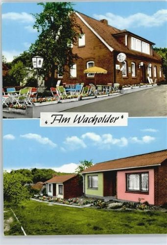 Glienitz Pension am Wacholder Elbuferstraße Baum