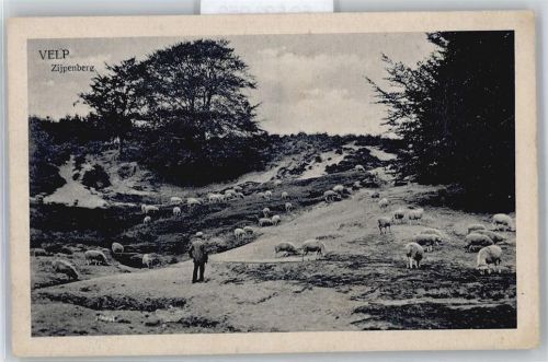 Velp Zijpenberg