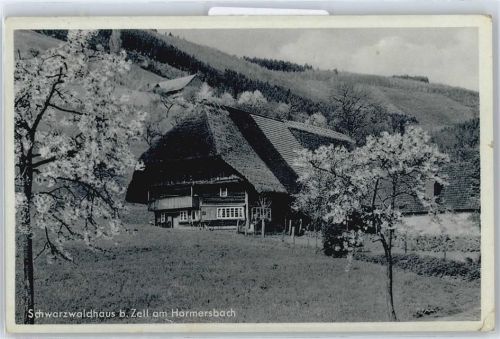 Zell Schwarzwaldhaus, Wald, Schwarzwald