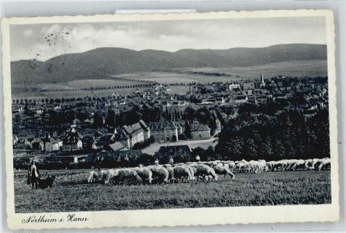 Northeim