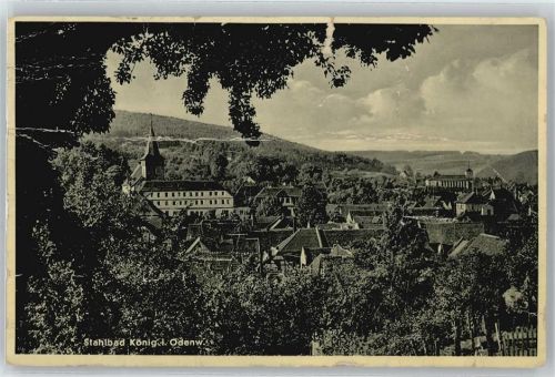 Bad König