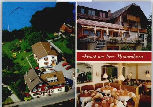 Nonnenhorn Hotel Pension Haus am See Fliegeraufnahme See