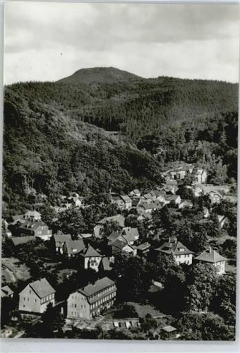 Ruhla Fliegeraufnahme