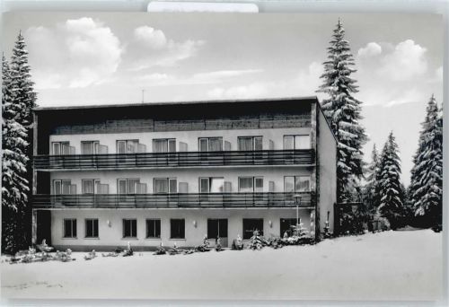 Niederreifenberg Waldhotel Baum Schnee Balkon