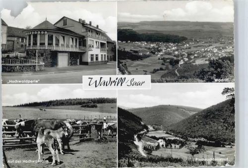 Wadrill Hotel Pension Hochwaldperle