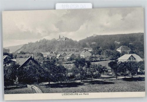 Liebenburg Gesamtansicht