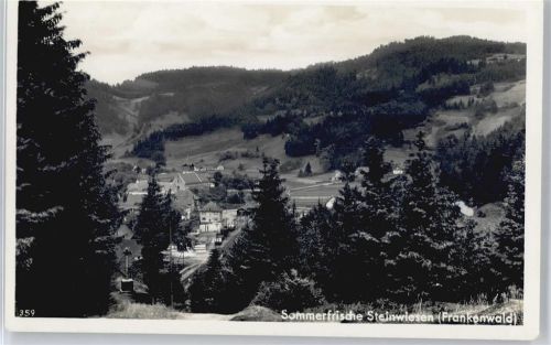 Steinwiesen