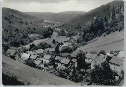 Luisenthal Gesamtansicht, Fachwerk