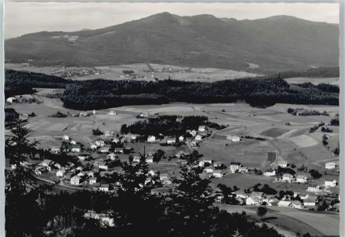 Blaibach Teilansicht