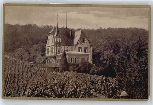 Bullay Gasthof Waldfrieden