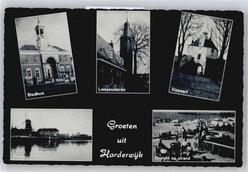 Harderwijk Stadhuis, Hafen, Linnaeustoren, Vispoort