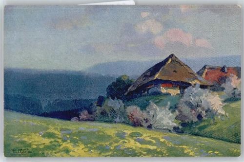 No.5 , Frühling im Schwarzwald