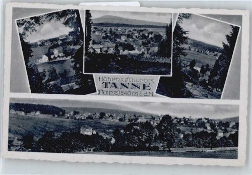 Tanne Panorama